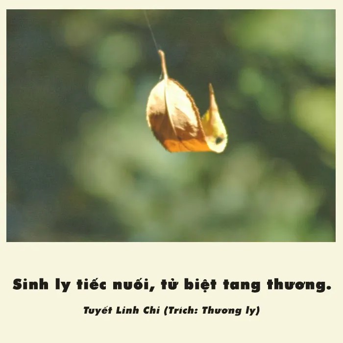 Các câu nói hay và thâm thúy về quy luật sinh ly tử biệt