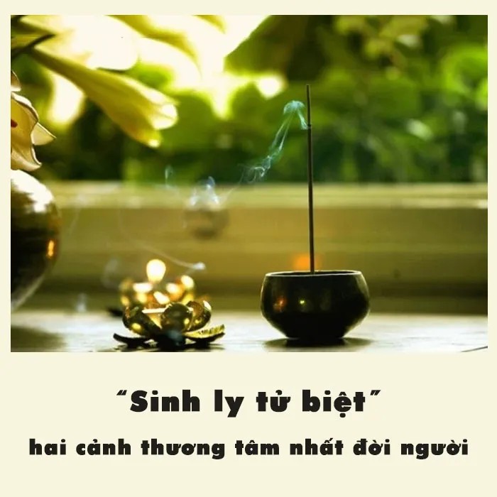 Giải thích ý nghĩa sinh ly tử biệt là gì trong kiếp nhân sinh