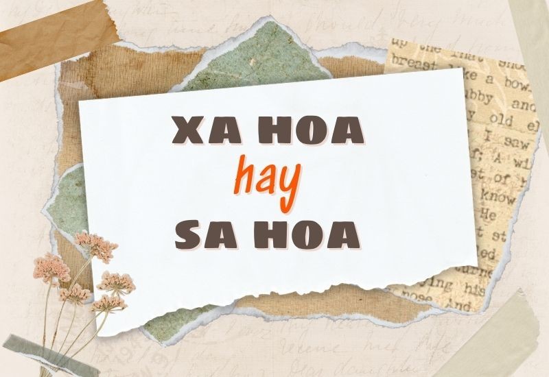 xa hoa hay sa hoa 1