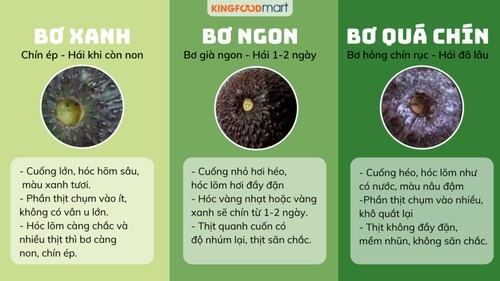 Cách quan sát cuống bơ để biết độ già và độ chín