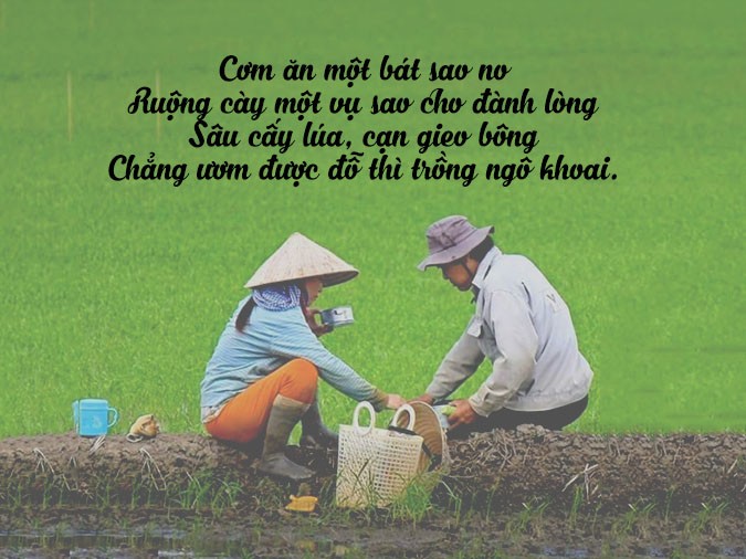 Cảnh sinh hoạt lao động sản xuất ở làng quê Việt Nam