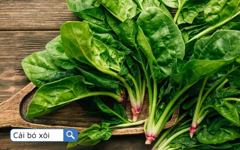 cac loai rau cai 1 1