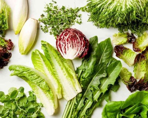 cac loai rau xa lach 1