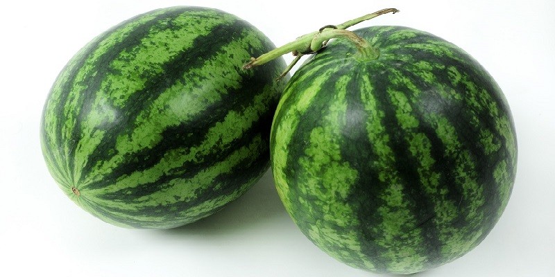 Thời điểm mua dưa sẽ quyết định rất nhiều đến chất lượng dưa có ngon hay không