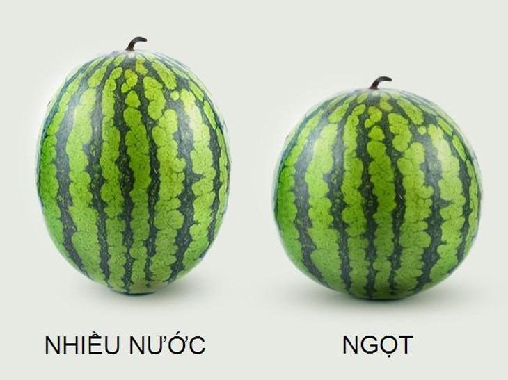 Xem hình dáng quả dưa