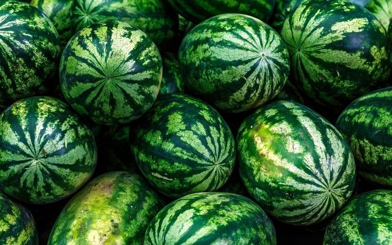 cach chon dua hau tuoi ngon ngot nuoc it hat don gian 202205281555255983 1