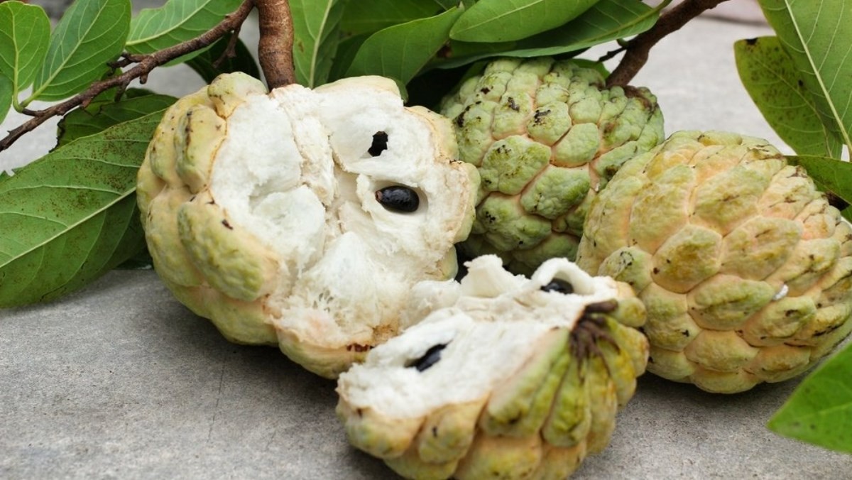 Cách chọn mua và bảo quản na