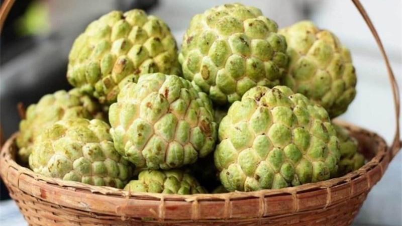 Cách bảo quản quả na chín trong tủ lạnh