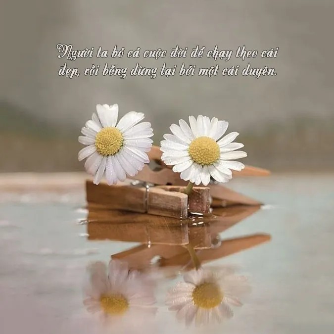 Câu nói hay về duyên phận giữa người với người - Ảnh minh họa