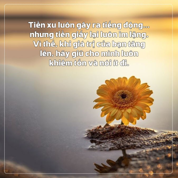 Trích dẫn hay về lòng khiêm tốn giúp hoàn thiện bản thân