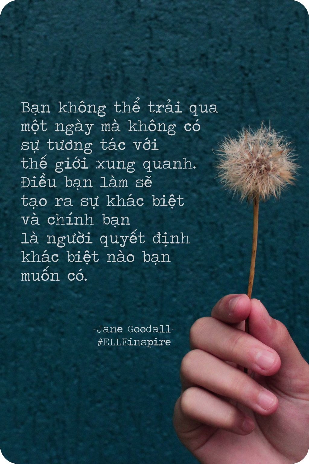 Thông điệp của Jane Goodall về sự tác động của con người