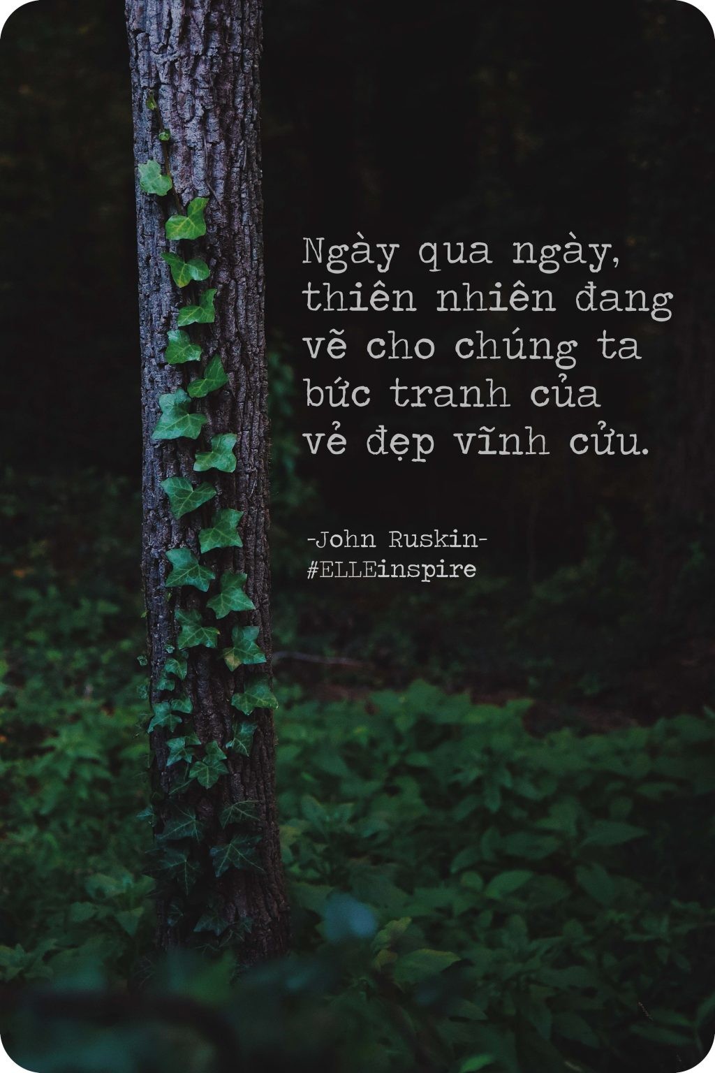 John Ruskin ca ngợi vẻ đẹp vĩnh cửu của thiên nhiên