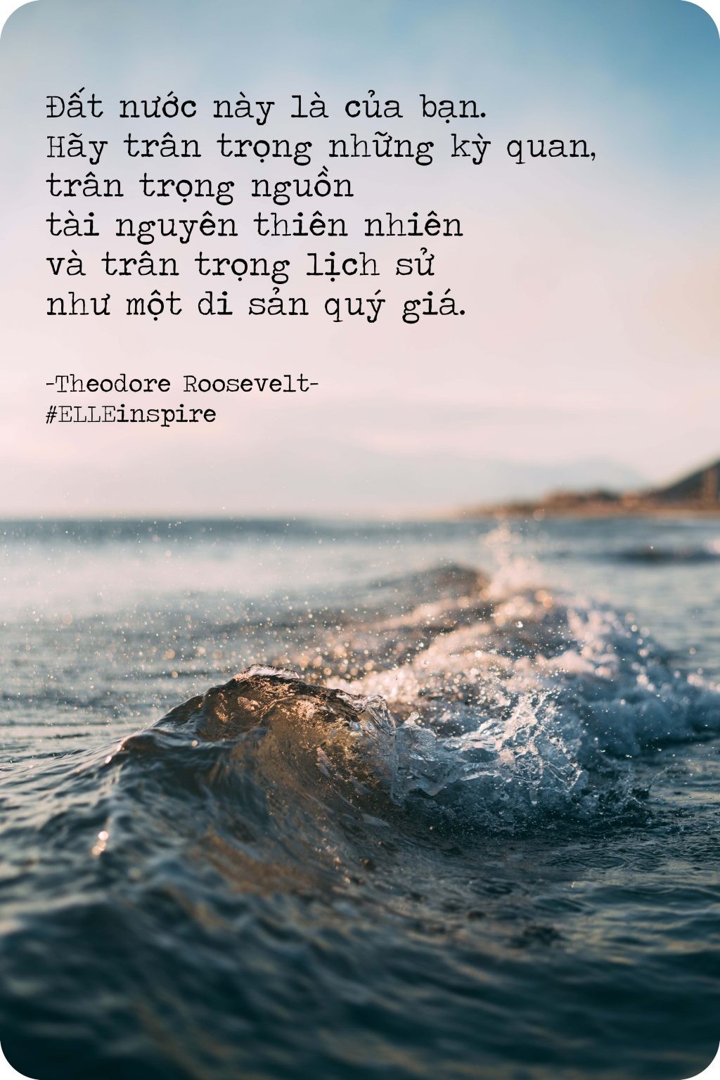 Theodore Roosevelt kêu gọi trân trọng di sản thiên nhiên