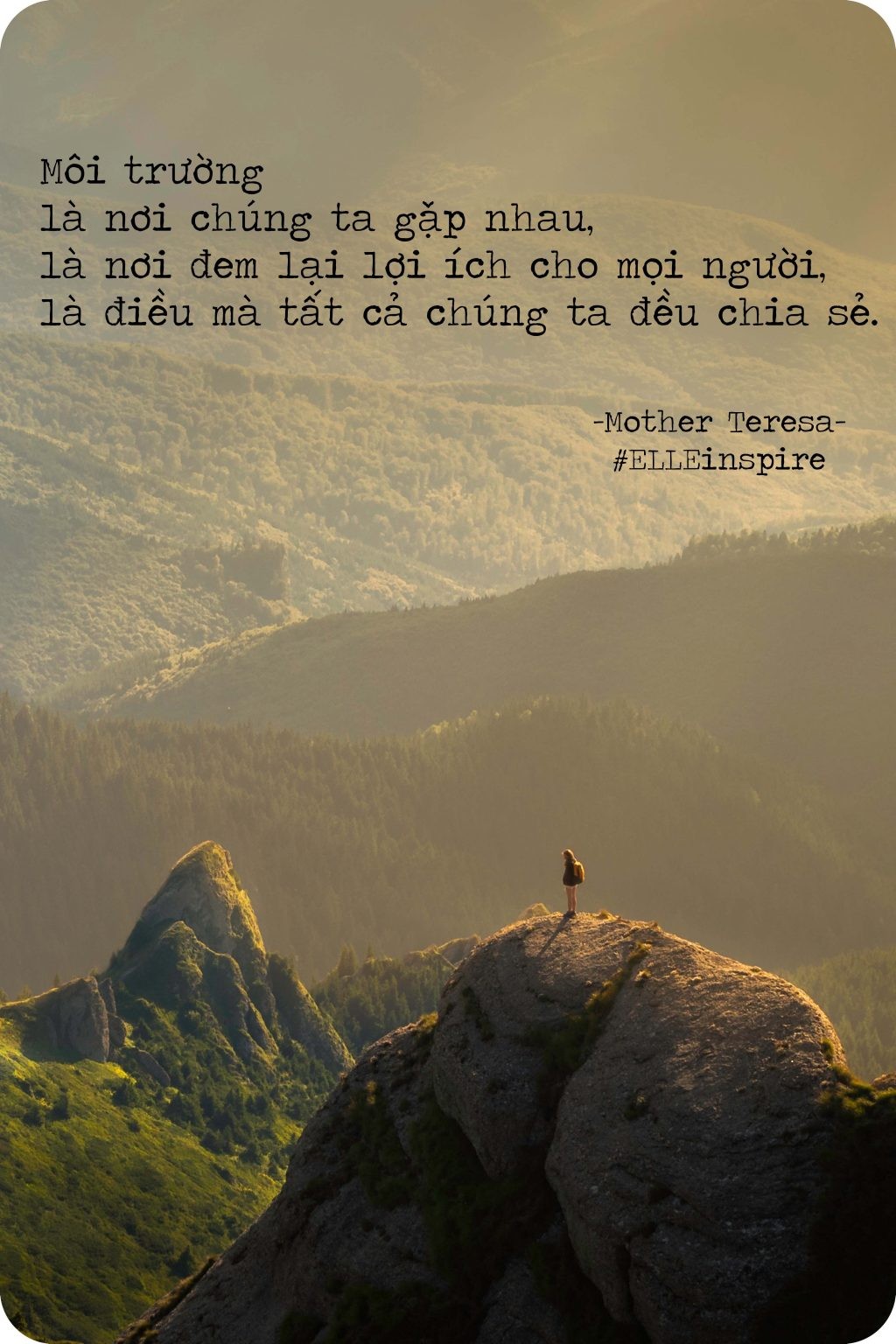 Câu nói của Lady Bird Johnson về môi trường là nơi gặp gỡ chung