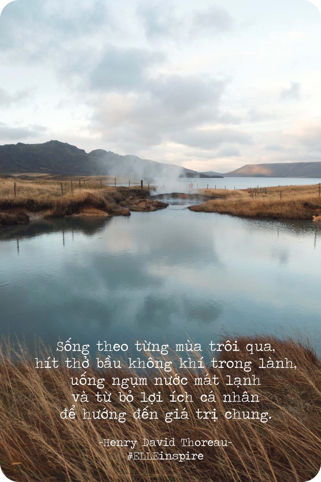 Lời khuyên của Henry David Thoreau về việc sống hòa hợp với thiên nhiên