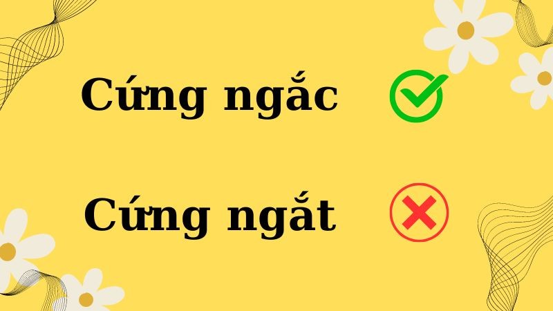 Phân biệt cứng ngắc hay cứng ngắt đúng chính tả tiếng Việt