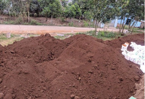 Đất phù sa màu mỡ thích hợp cho trồng trọt