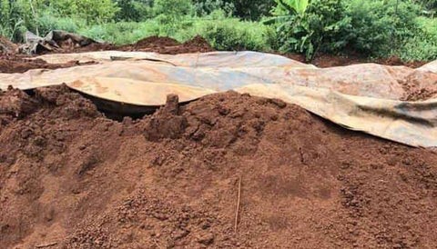 Đất phù sa chứa nhiều chất dinh dưỡng cho cây trồng