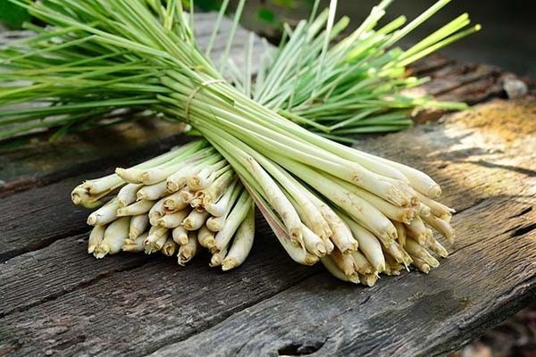 Top 23 loại rau thơm phổ biến ở Việt Nam và tác dụng đối với sức khỏe - 16