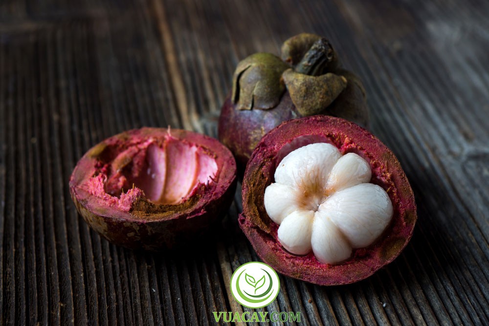 Cận cảnh trái măng cụt tươi ngon vừa thu hoạch