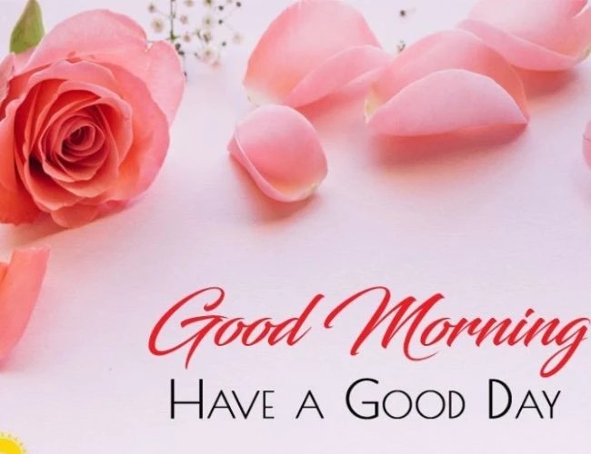 Status chào ngày mới bằng tiếng Anh hiện đại và ý nghĩa