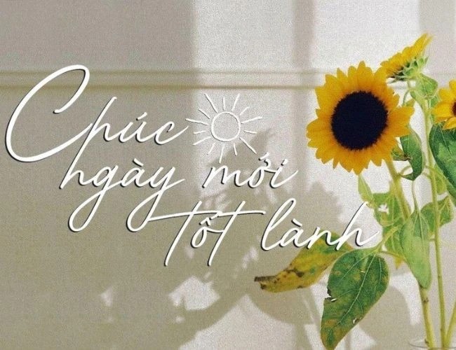 Status chào ngày mới cực hay và ý nghĩa giúp lan tỏa niềm vui