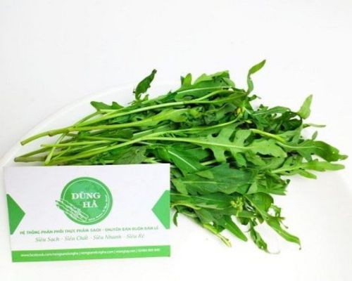 Rau xà lách rocket với lá xẻ thùy và vị cay nồng đặc trưng