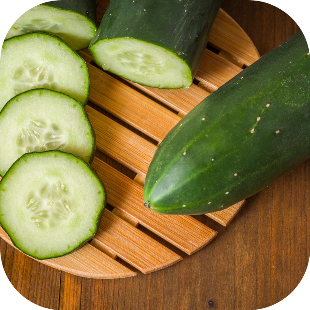 Một bàn tay đang nhẹ nhàng bóp thử độ săn chắc của quả dưa leo