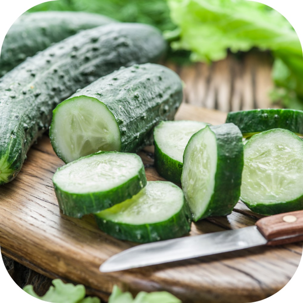 Cận cảnh một quả dưa leo xanh mướt với vỏ căng bóng, thể hiện sự tươi ngon và giàu dinh dưỡng