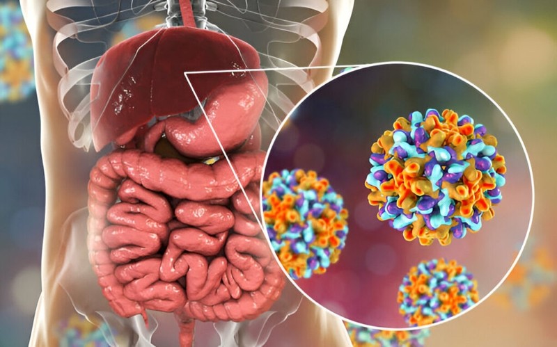 Những người có tiền sử mắc các bệnh về gan nên tránh sử dụng rau má