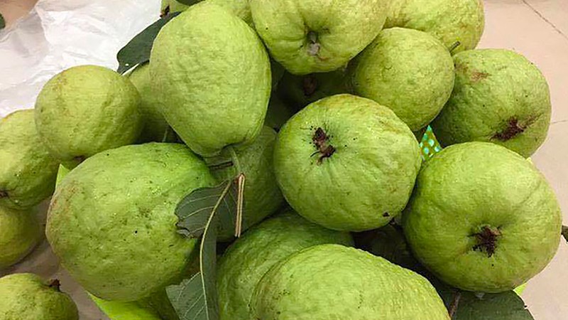 Chọn ổi dựa vào màu sắc quả ổi