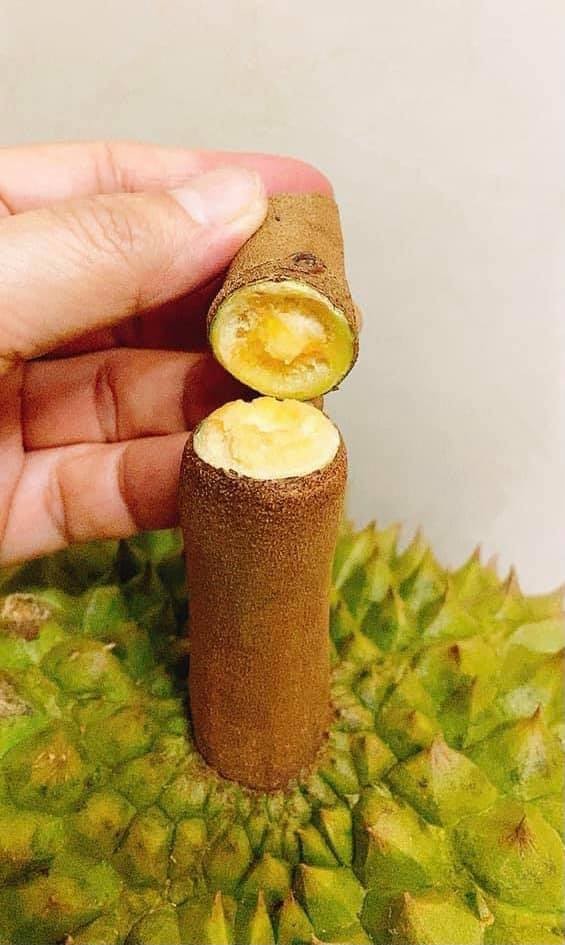 bo tui cach lua sau rieng ngon nhieu mui com vang 2