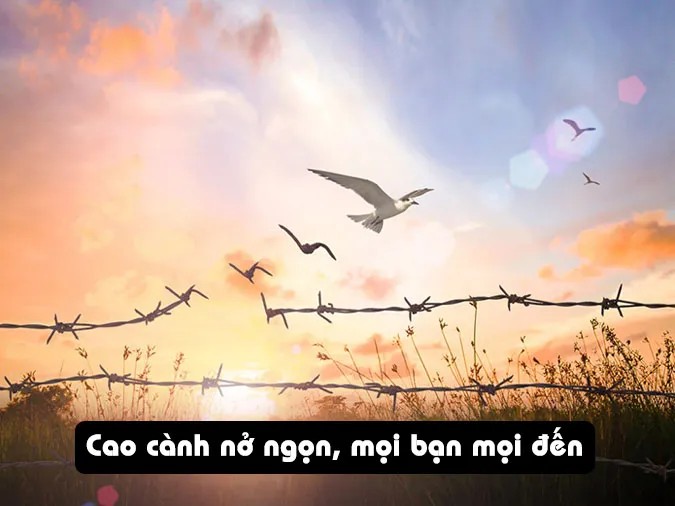 Nhiều người đang cùng nhau làm việc và chia sẻ niềm vui