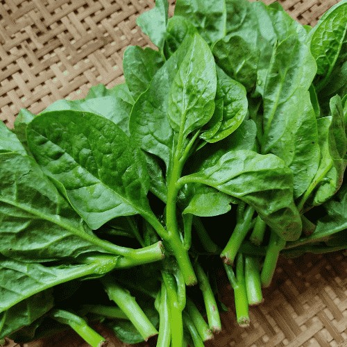 cac loai rau an la tai nha 1