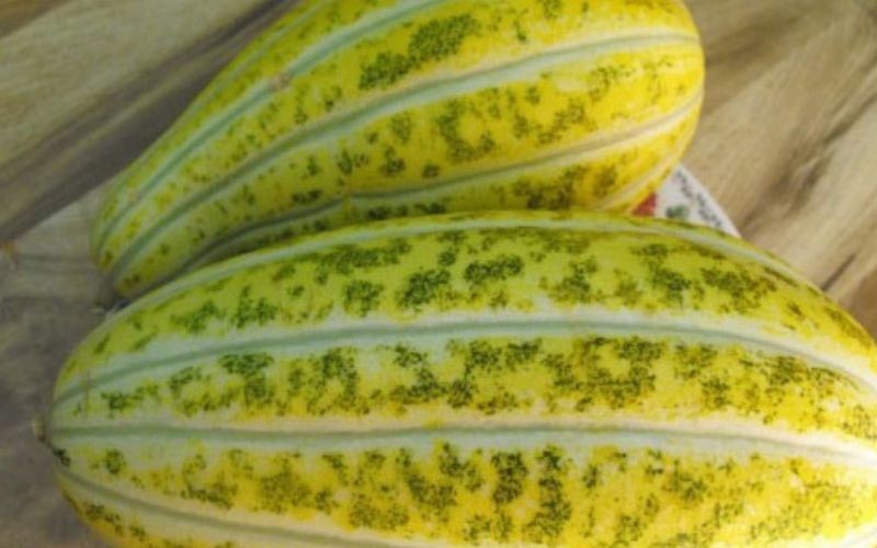 Lưu ý khi ăn dưa gang và cách bảo quản dưa gang