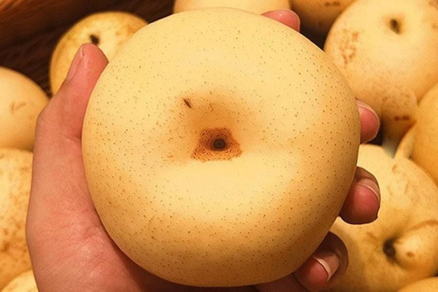 Dấu hiệu đáy quả lê ngon