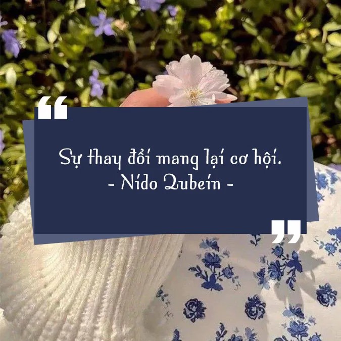 Danh ngôn cuộc sống về việc nắm bắt thời cơ