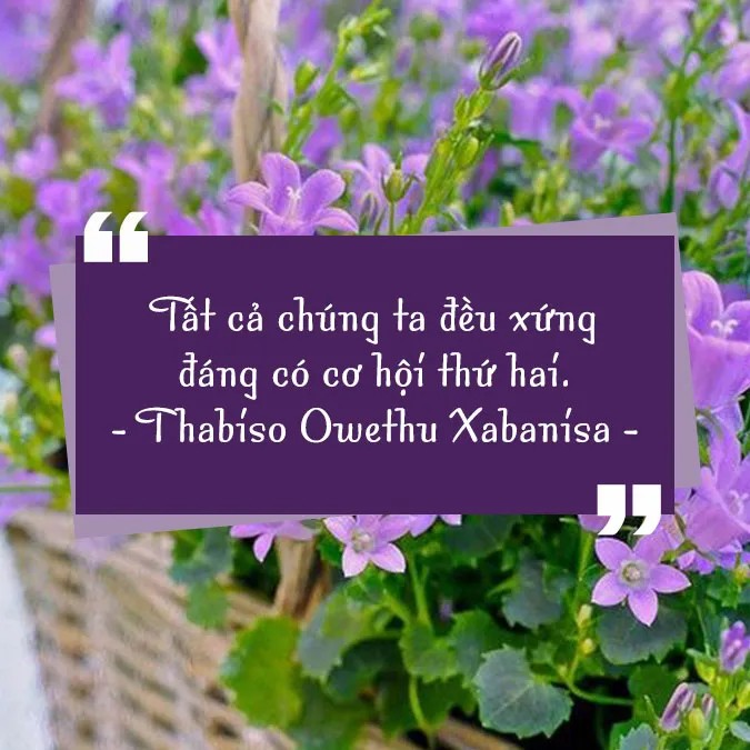 Trân trọng cơ hội trong tình yêu để không hối tiếc