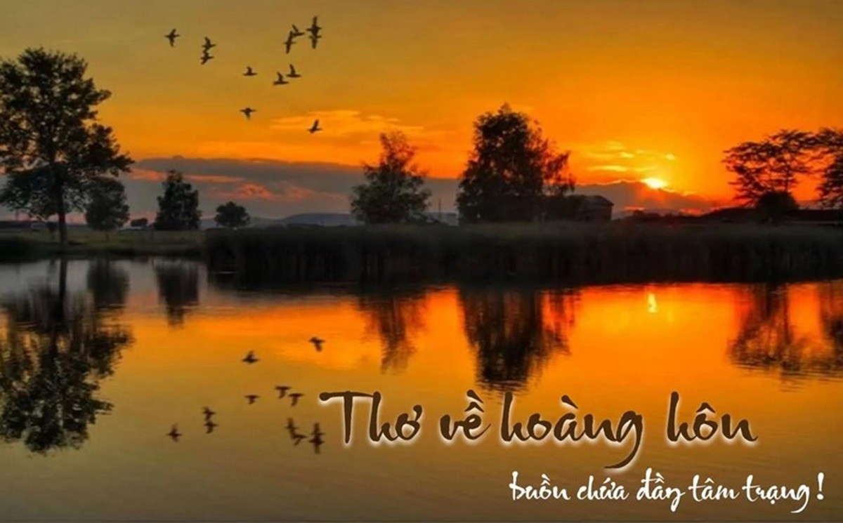 Cảnh hoàng hôn lãng mạn với những bài thơ được trình bày.