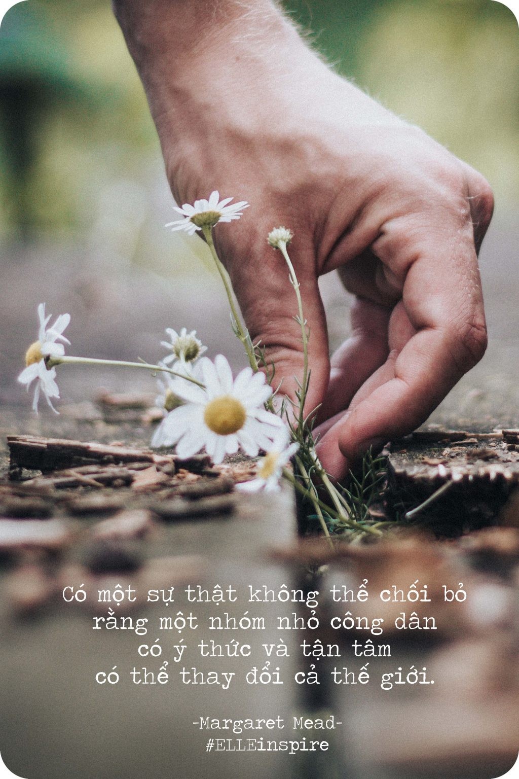 Cánh tay đang đặt lên một ngọn cây non