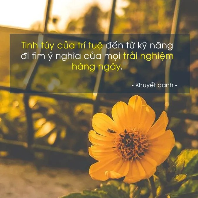 Cảnh sát phong tỏa và khám nghiệm khu vực phát hiện thi thể nạn nhân