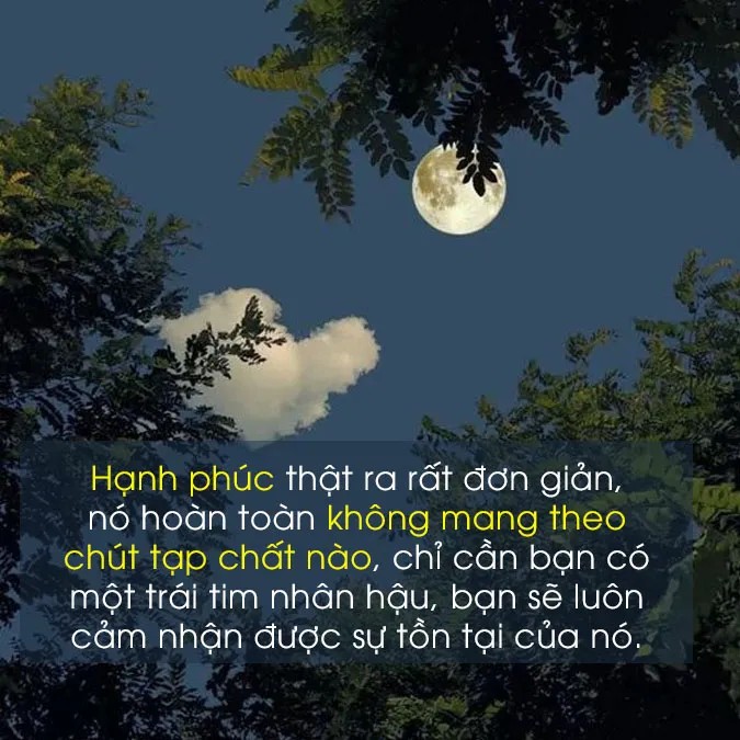 cau noi hay ve trai nghiem 2