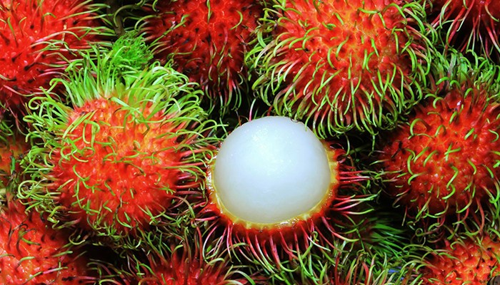 Đặc điểm các loại chôm chôm phổ biến hiện nay