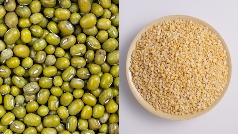 Màu sắc khác biệt giữa đậu xanh nguyên vỏ và đậu xanh đã tách vỏ