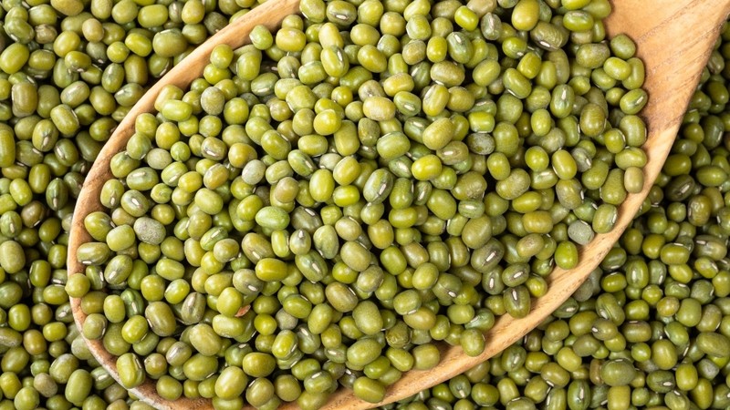 Vỏ đậu xanh là nguồn cung cấp dồi dào chất chống oxy hóa