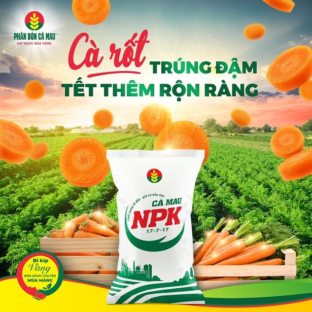 Kỹ Thuật Trồng Cà Rốt Năng Suất Cao, Củ Đẹp Phục Vụ Tết Nguyên Đán 1 hinh anh seoca rot trung dam min 1