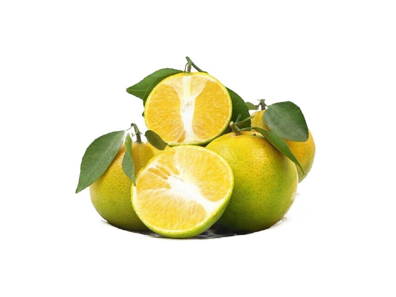 Cam xoàn ngọt ngất ngây