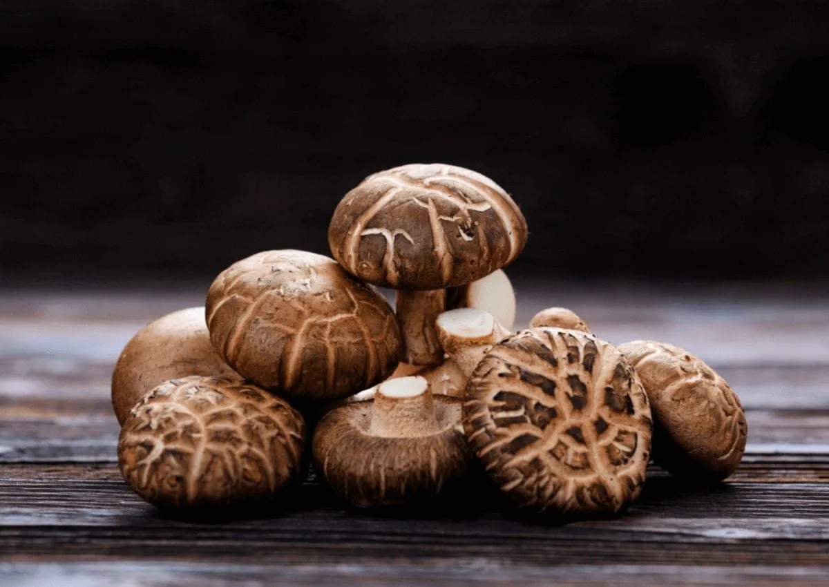 Nấm hương (nấm đông cô) với màu sắc hấp dẫn