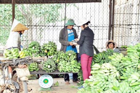 Ngã giá, trao đổi tiền bạc tại vựa thu mua chuối.