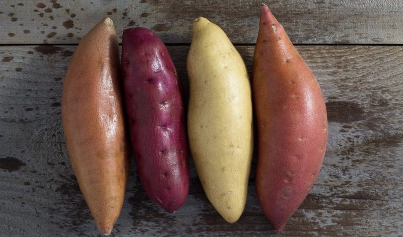 So sánh hai loại khoai lang trên cùng một đĩa